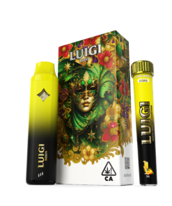 CITRUS MIMOSA