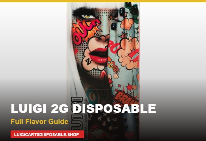 LUIGI 2G DISPOSABLE Full Flavor Guide | Luigi Carts